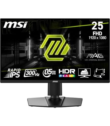 MSI G241, 24
